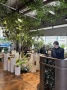 海泰格调砚溪花园实景图相册大图