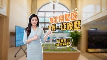 北辰红橡墅开发商营业执照相册