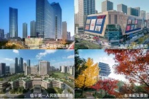 丹青隐庐开发商营业执照相册