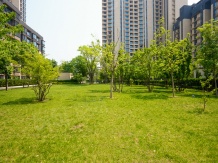 北京东湾相册