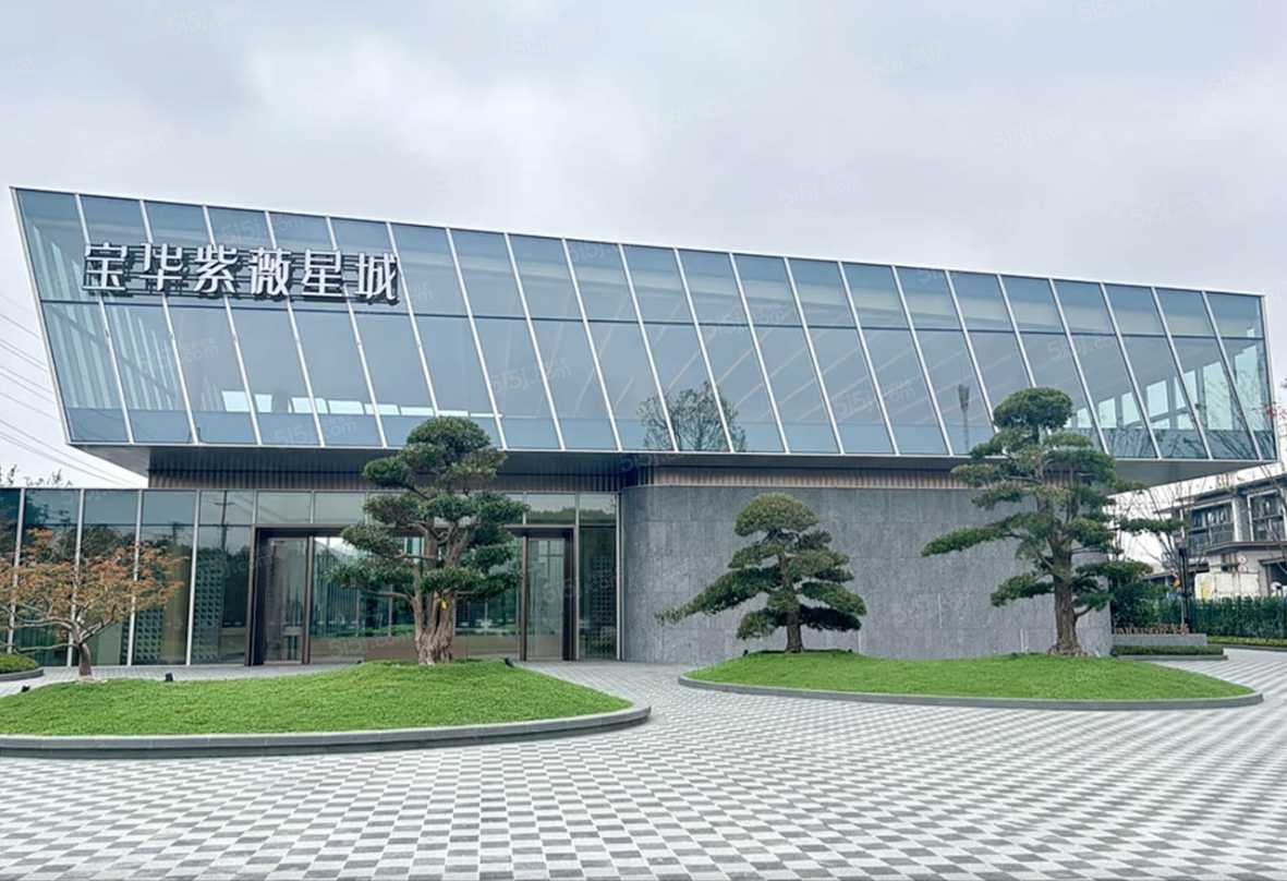 宝华紫薇星城实景图