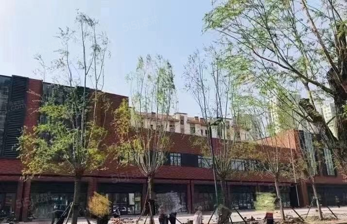 东丽湖万科城实景图