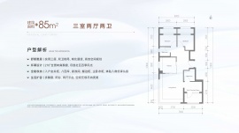 3室2厅2卫户型图