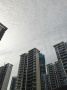 澜庭湾二期项目现场相册大图