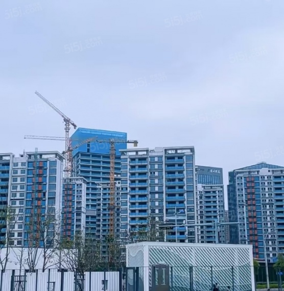 澜庭湾二期项目现场