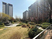 中海学府里