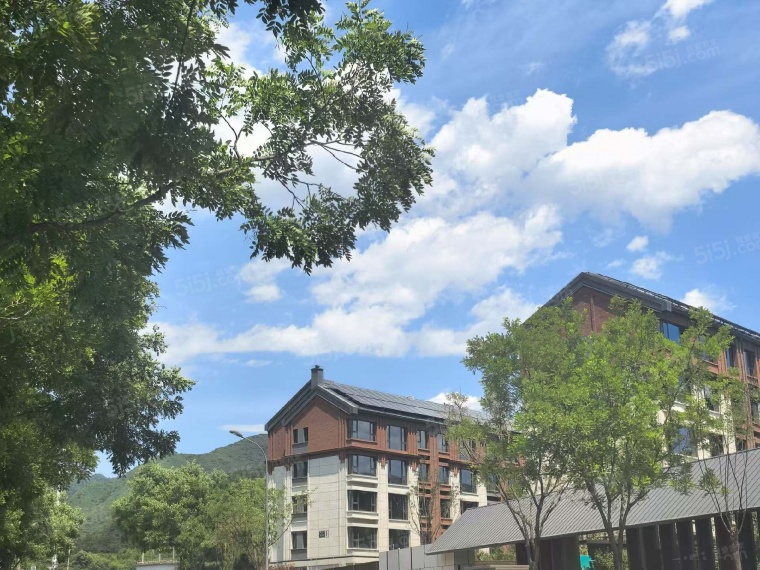 中交伴山观岚实景图