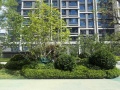 中海学府里实景图相册大图