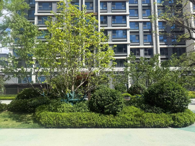 中海学府里实景图