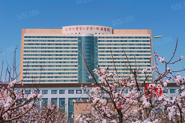 绿城梅江泓庐配套图