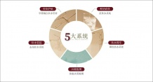 越秀运河樾开发商营业执照相册