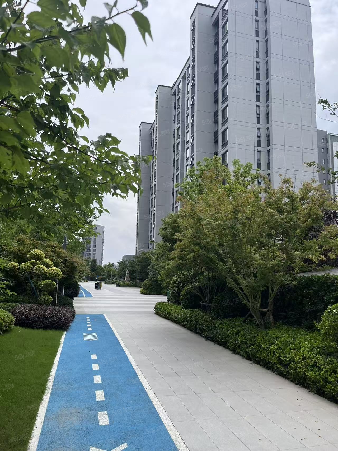 浦发唐城二期实景图