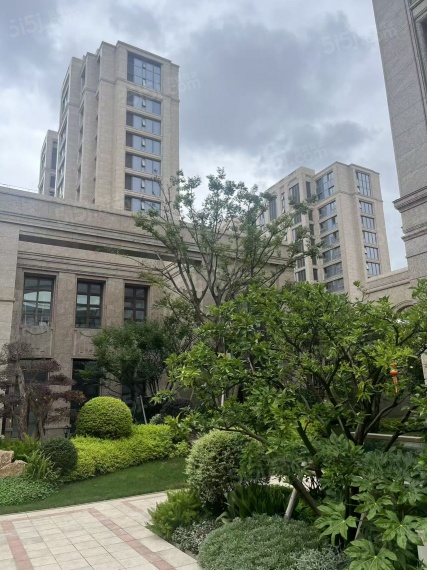 金鼎睿府实景图