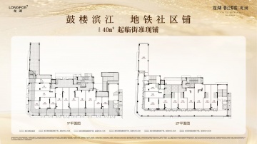 龙湖春江紫宸|观澜1室
