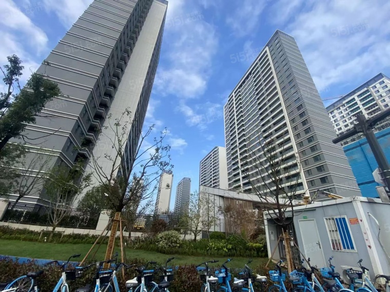 和颂雅苑实景图