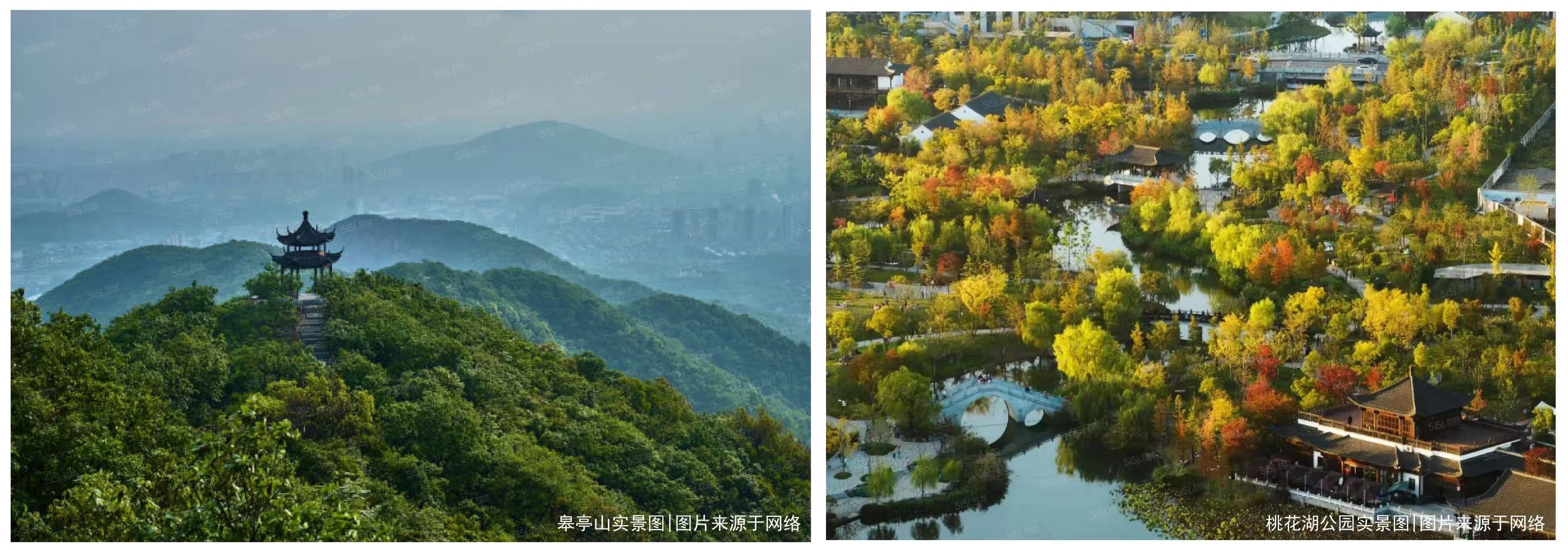 金地溪韵满庐实景图