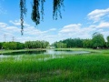 绿城朗月和风配套图相册大图