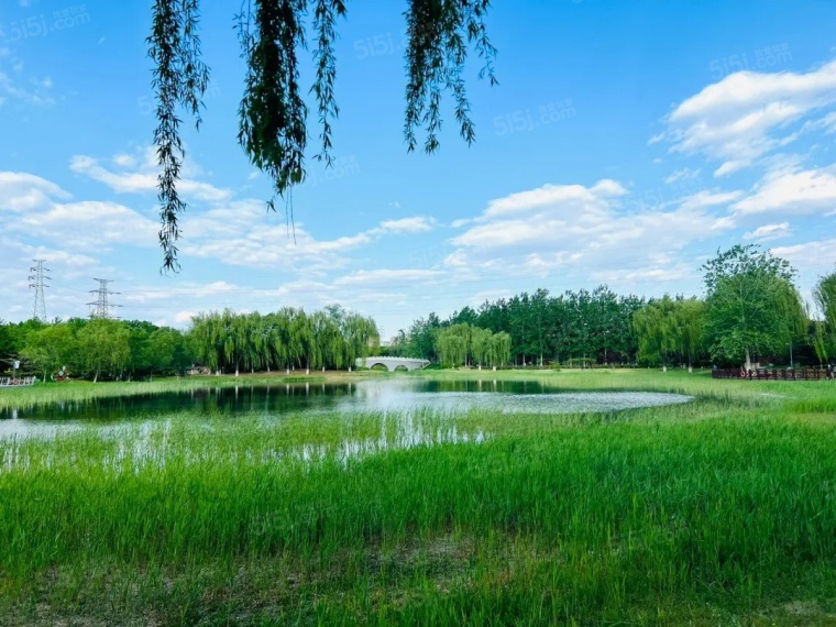 绿城朗月和风配套图