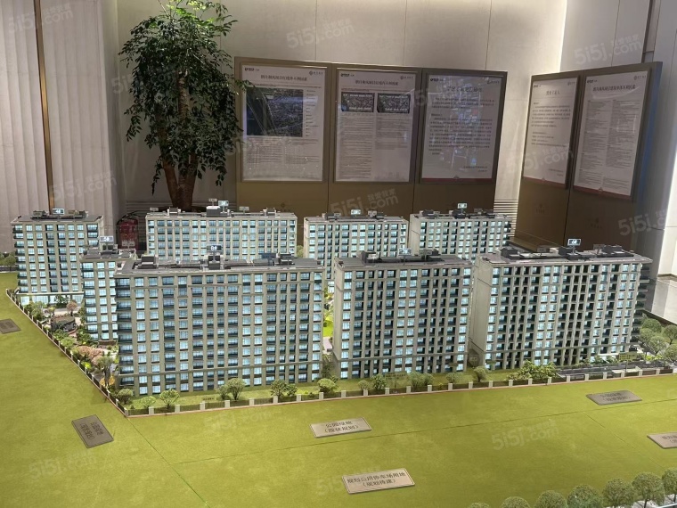 绿城朗月和风实景图
