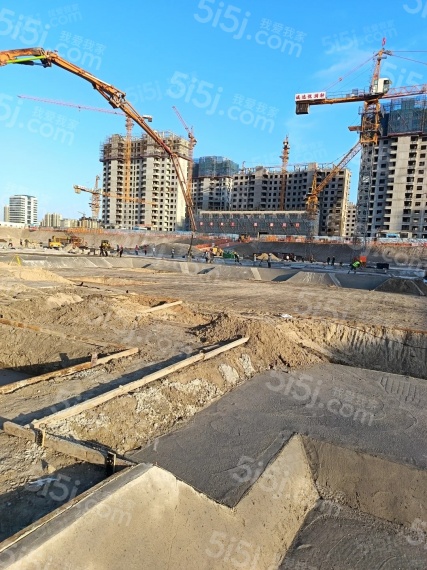 宸园139实景图