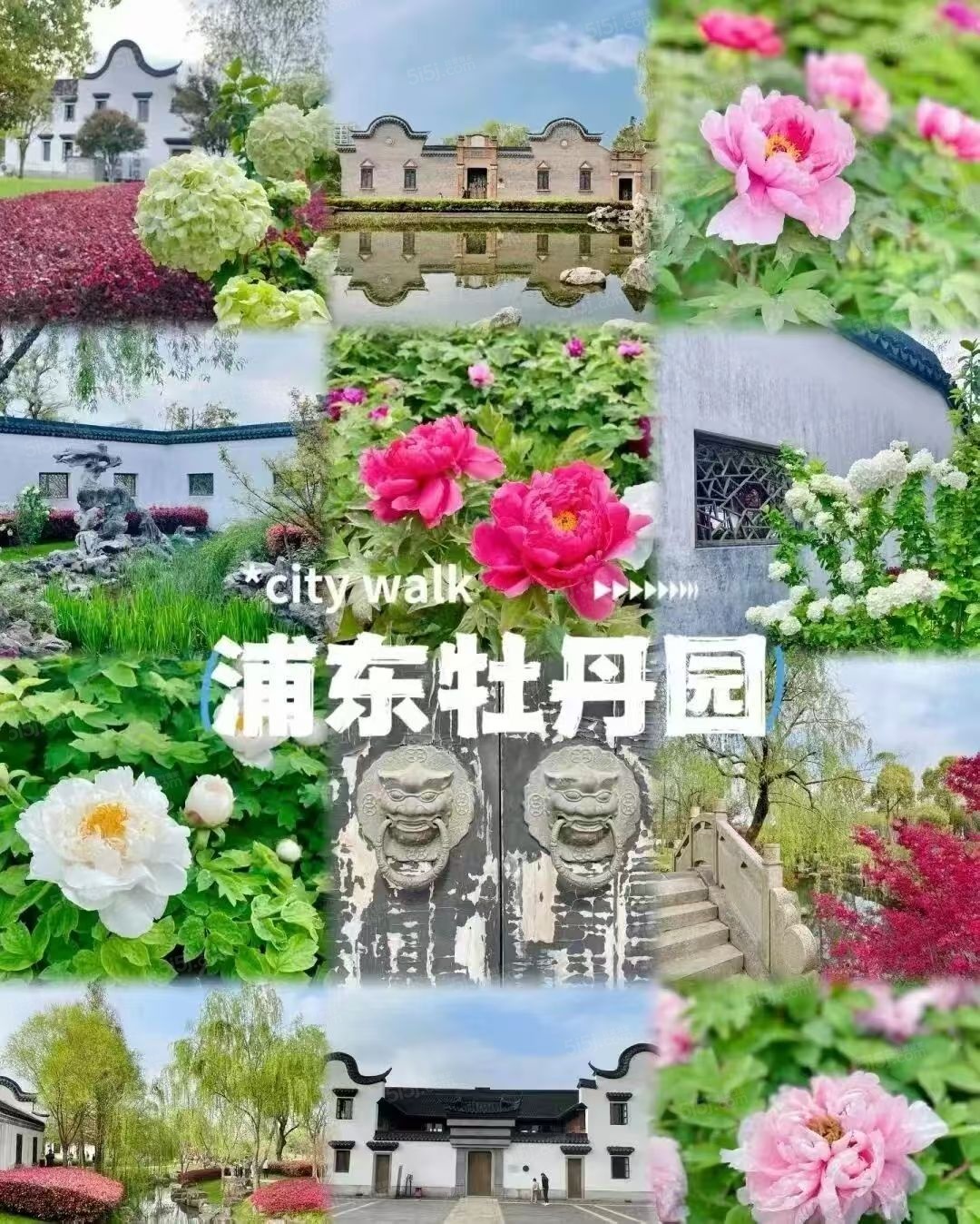 国际行政公馆配套图