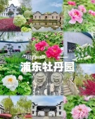 国际行政公馆沙盘图相册
