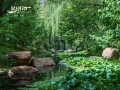 太原星河湾效果图相册大图