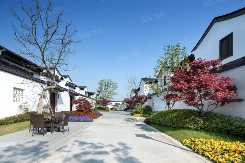 园博村桃李春风实景图