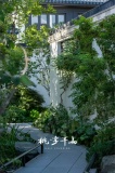 桃李半岛