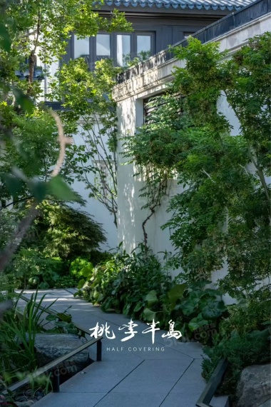 桃李半岛效果图