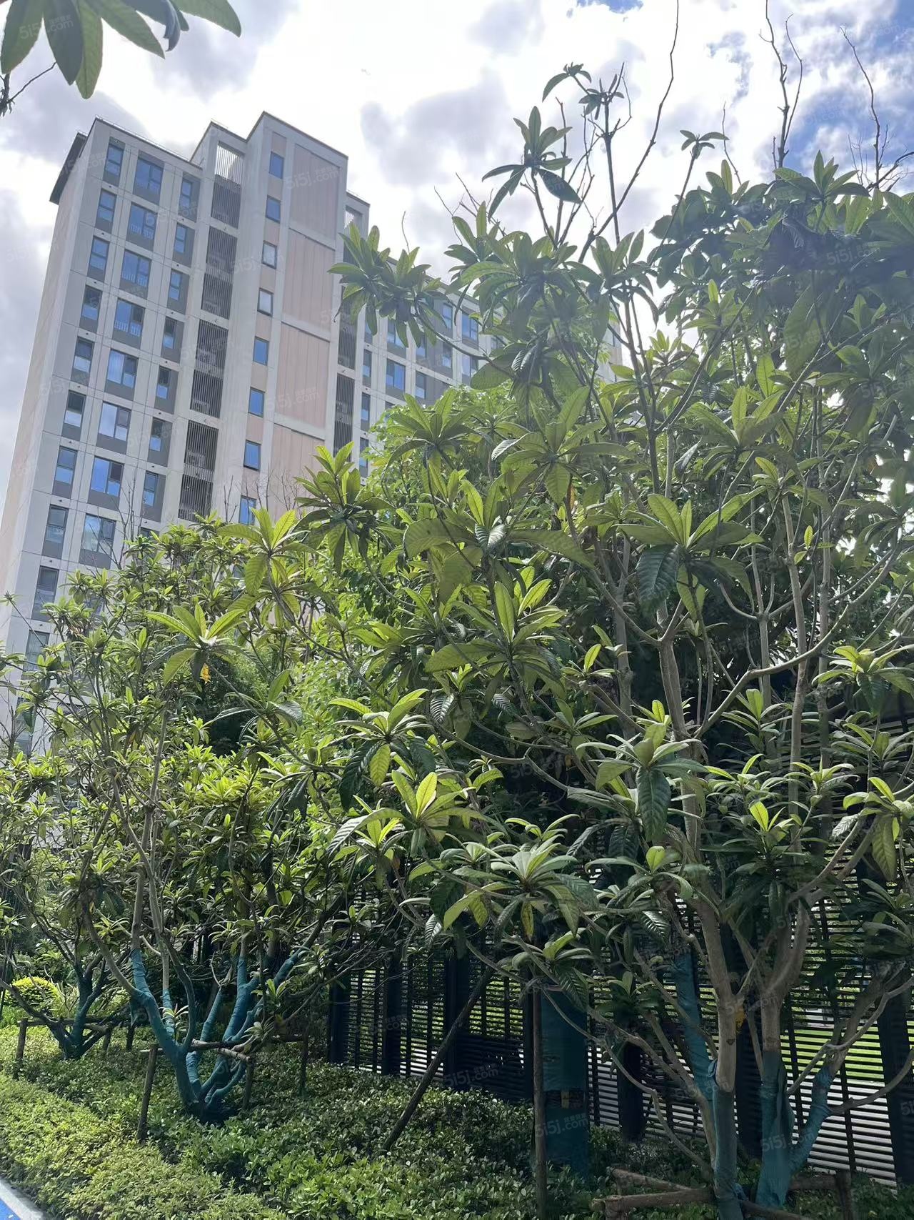 东岸观邸云尚丹霞实景图