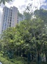 东岸观邸云尚丹霞实景图相册大图