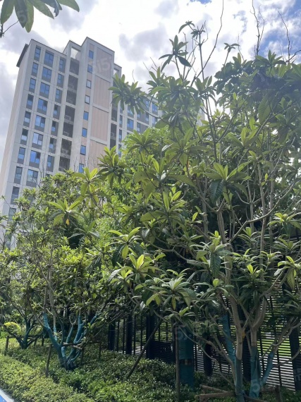 东岸观邸云尚丹霞实景图