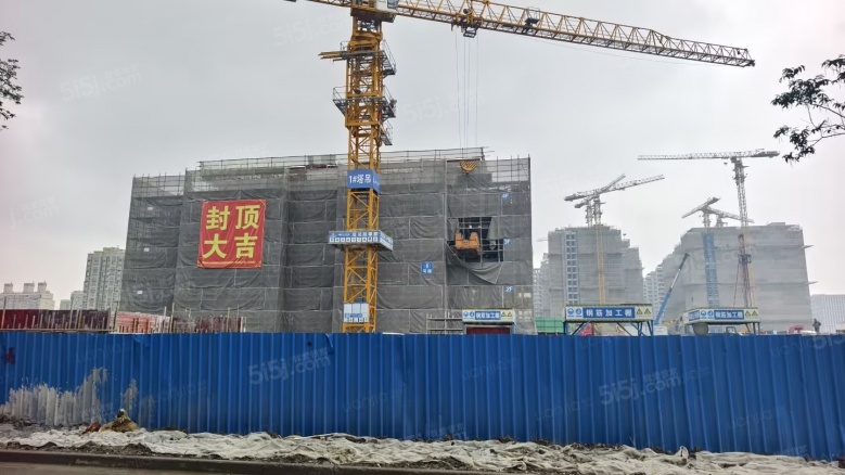 金茂锦棠实景图