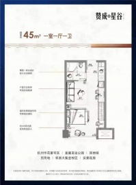 赞成星谷1室1厅1卫
